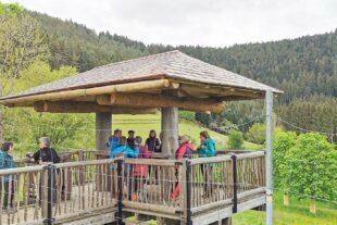 2024-5-10-ZE-UH-WuF-von Alpirsbach nach Schenkenzell-IMG_20240505_134455