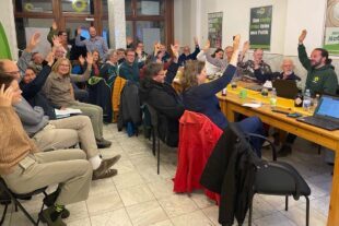 2024-5-17-OG-privat-Grüne-Abstimmung Wahlprogramm 2024