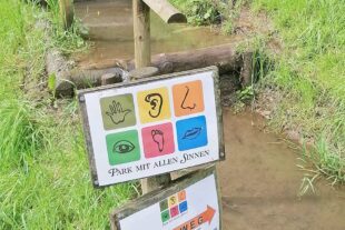 2024-5-24-BI-Wiebke Fix-SWV Barfuss-Tour-Beispielbild 2