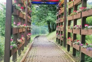 2024-5-24-BI-Wiebke Fix-SWV Barfuss-Tour-Beispielbild