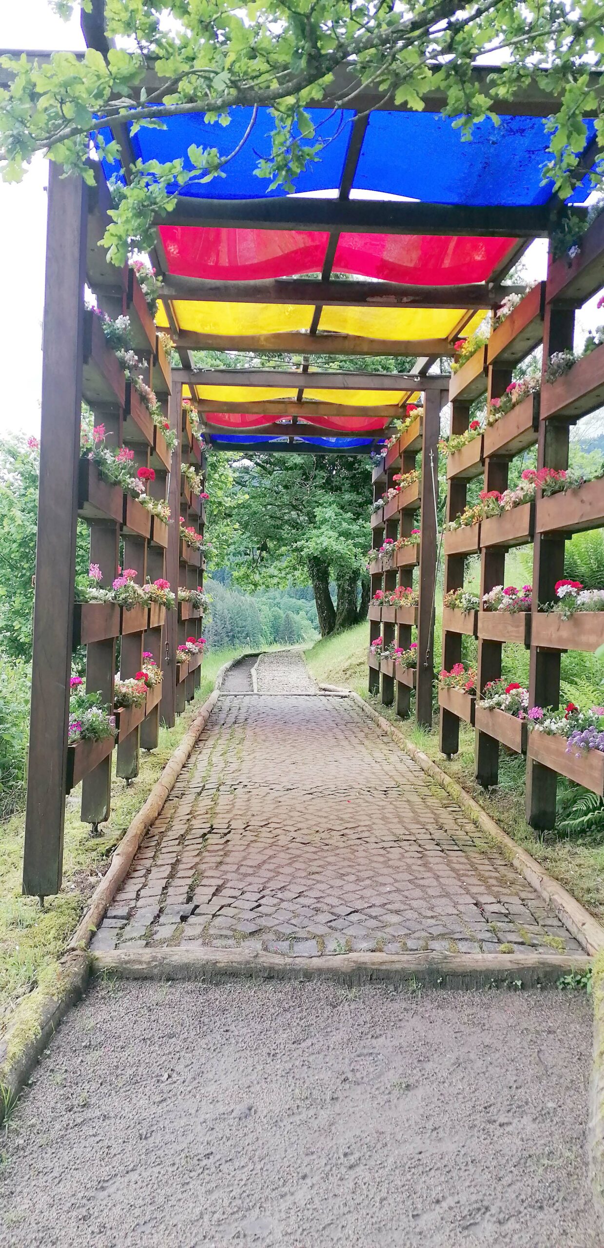 2024-5-24-BI-Wiebke Fix-SWV Barfuss-Tour-Beispielbild