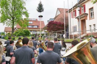 2024-5-3-ZE-UE-Martin Huber-Maibaumstellen-Mit Blasmusik und starken Feuerwehrmännern - der Maibaum steht