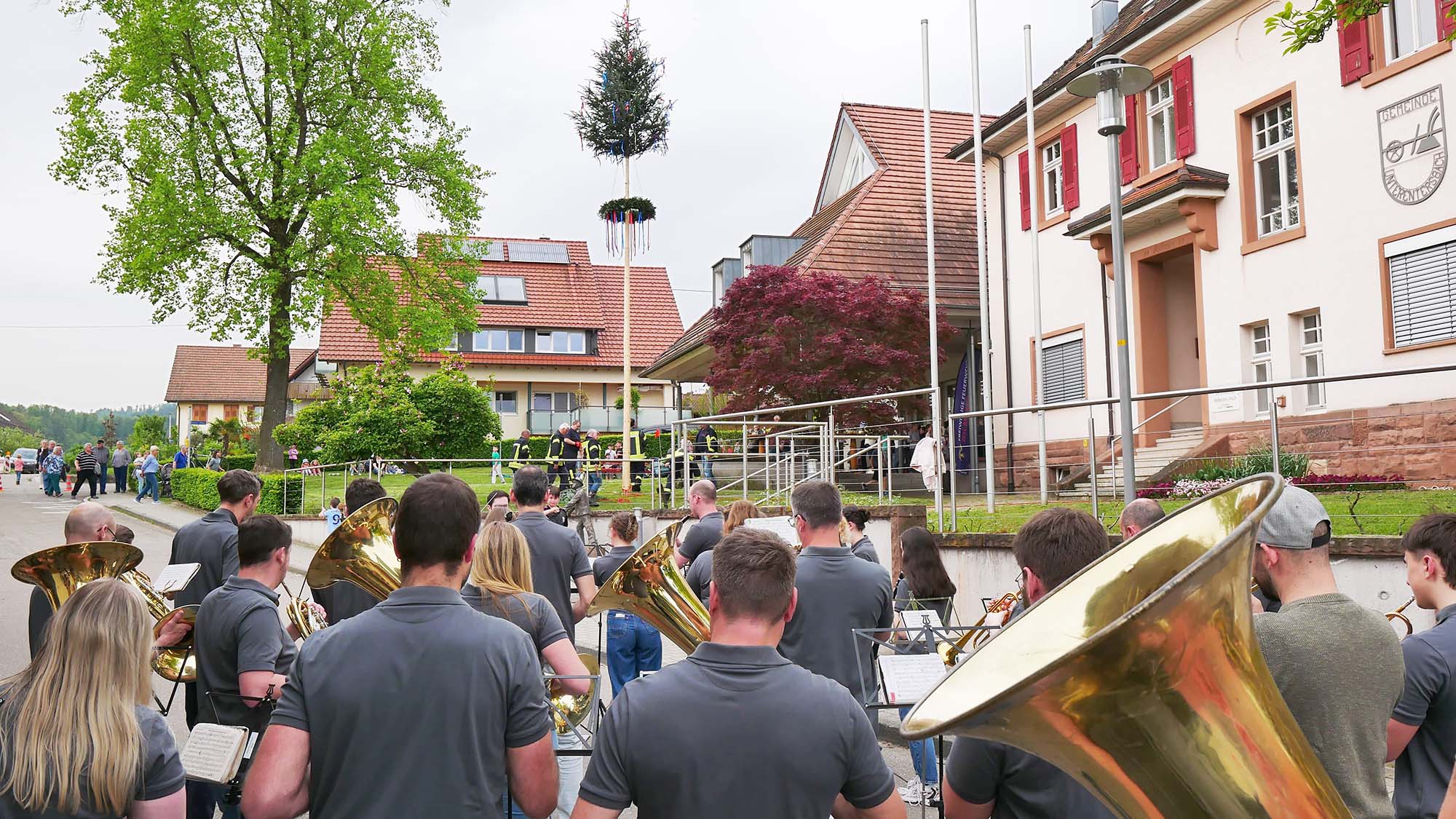 2024-5-3-ZE-UE-Martin Huber-Maibaumstellen-Mit Blasmusik und starken Feuerwehrmännern - der Maibaum steht