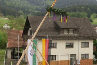 2024-5-3-ZE-UH-ga-Maibaum Unterharmersbach-IMG_8430