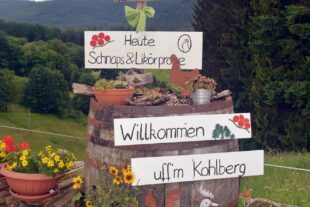 2024-5-31-NO-hv-Brennhislitag-DSC_0311