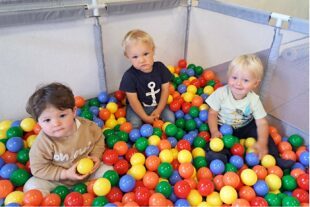 Krabbeldrachen suchen Verstärkung