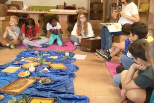 2024-6-26-BI-Cornelia Schmitt-Tonner-Grundschule BI-Ausflug zur Imkerei Waidele-IMG_3095