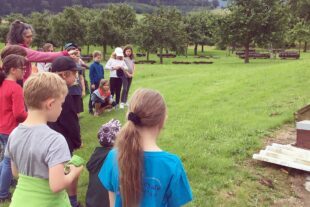 2024-6-26-BI-Cornelia Schmitt-Tonner-Grundschule BI-Ausflug zur Imkerei Waidele-IMG_3102