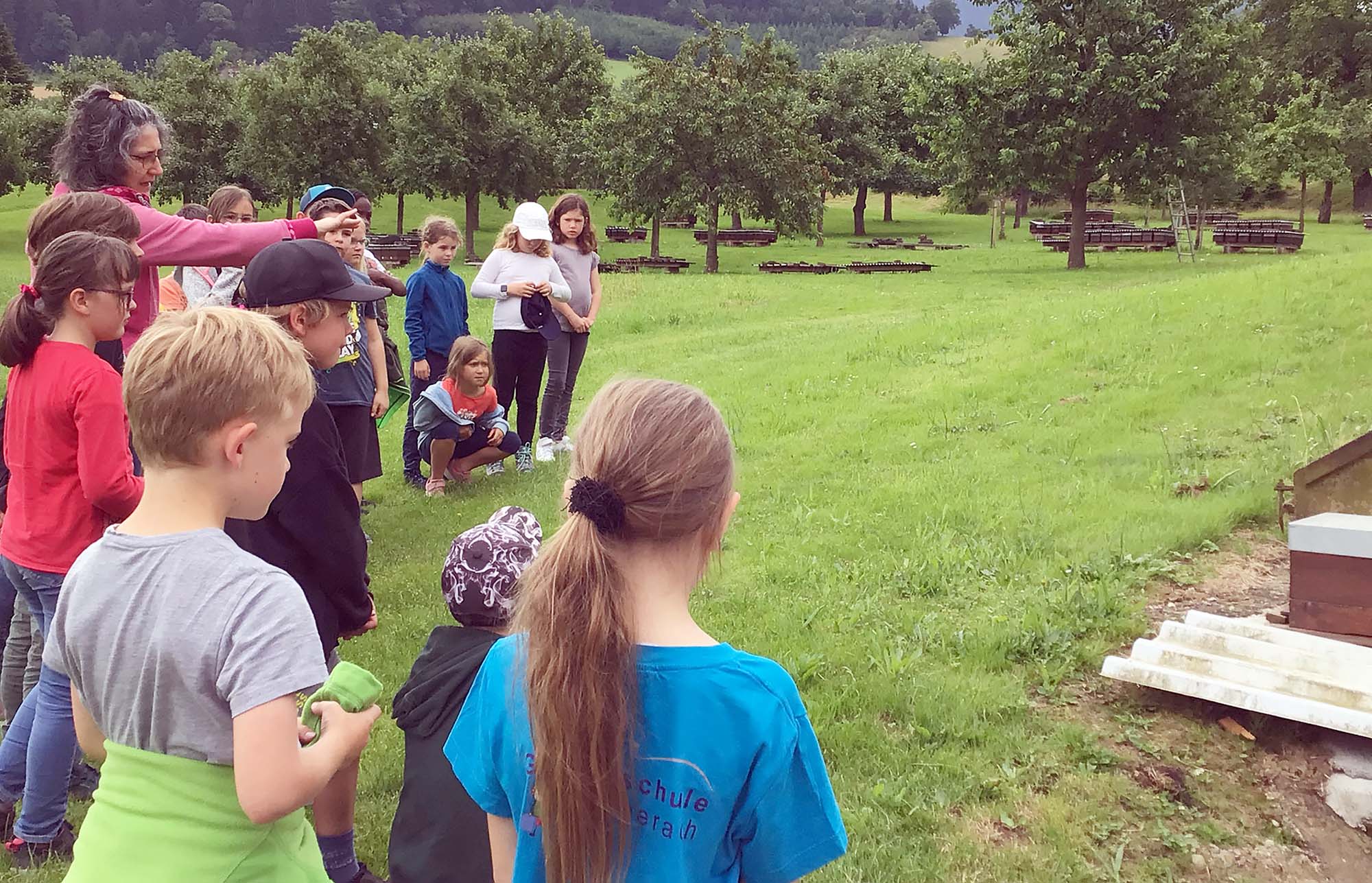 2024-6-26-BI-Cornelia Schmitt-Tonner-Grundschule BI-Ausflug zur Imkerei Waidele-IMG_3102