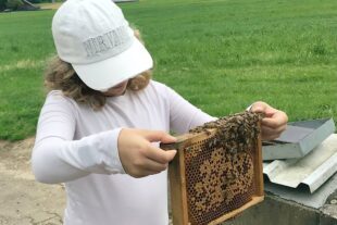 2024-6-26-BI-Cornelia Schmitt-Tonner-Grundschule BI-Ausflug zur Imkerei Waidele-IMG_3132