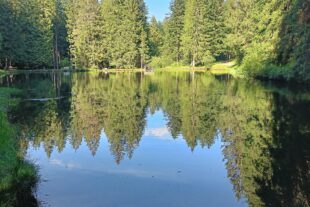 2024-6-28-NO-DAV- Sandkästle Sandsee