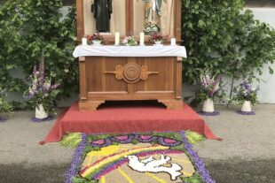 2024-6-3-BI-PB-Thomas Leopold-Fronleichnam-Foto 2 Blumenteppich Vitt