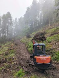 Arbeitseinsatz am Rabenfelsen