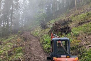 2024-6-5-NO-DAV-Arbeitseinsatz am Rabenfelsen-Bagger-neu