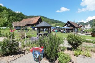 2024-6-5-NO-bia-Neuer Mühlenmeister-und-SP Heilkräutergarten Mühlentag (2)