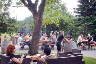 2024-7-1-BI-Kinzig-Brennerei-Open Air 2024-Garten-Foto uts-DSC_3576