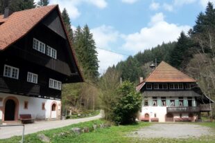 2024-7-10-NO-privat-Freizeithäuser-Schottenhöfen-Bild_Häuser