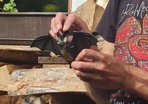 2024-7-12-OH-privat-Erstkommunionkinder-Spende-2