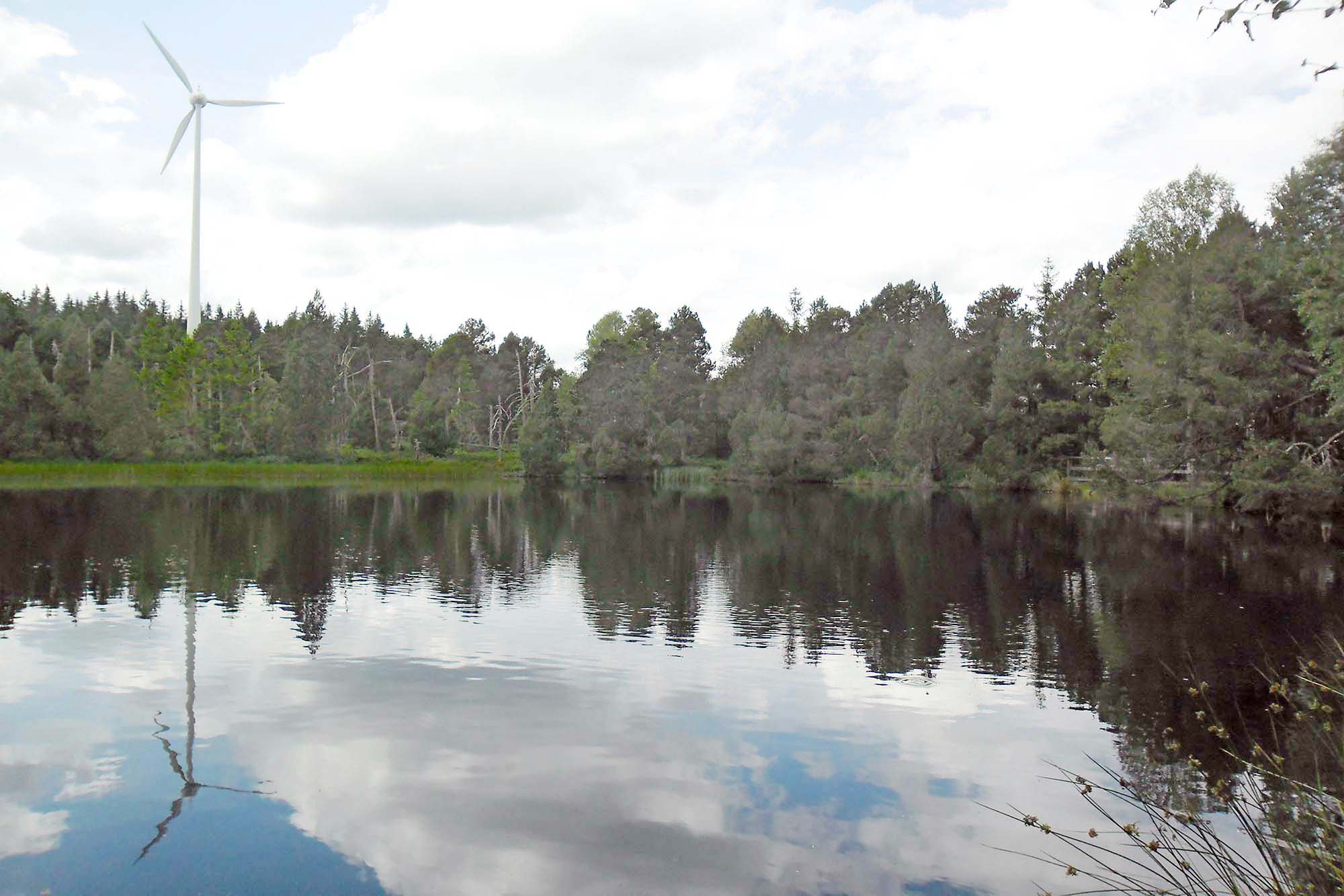 2024-7-29-ZE-UE-Franz Huber- Wandergruppe UE Blindensee Blindensee