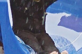 2024-7-3-BI-Nadine Kollmer-Biberstarker Familientag-IMG_20240630_133750