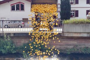 2024-7-3-OH-VdK-Entenrennen-IMG_20230702_130614983_BURST003