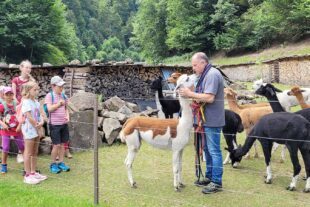 2024-7-31-OH-Kindervolkstanzgruppe Foto 4