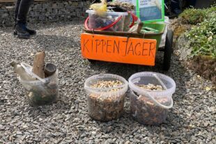 2024-7-5-ZE-UH-Rosemarie Kramer- Kippensammeln AAM IMG_7611