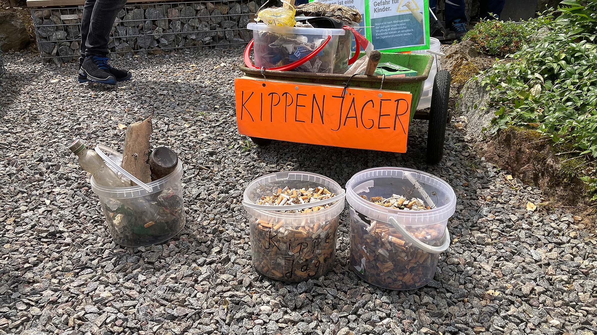 2024-7-5-ZE-UH-Rosemarie Kramer- Kippensammeln AAM IMG_7611