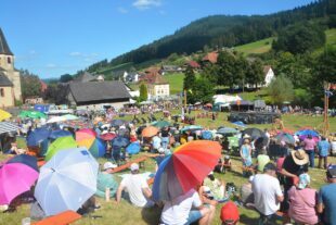 2024-8-12-BI-PB-Highland-Games-DSC_5280 2