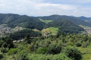 2024-8-21-NO-DAV Senioren auf dem Genießerpfad – Wolfacher Schlossblick-08_2024_Blick vom Berghexenlandeplatz