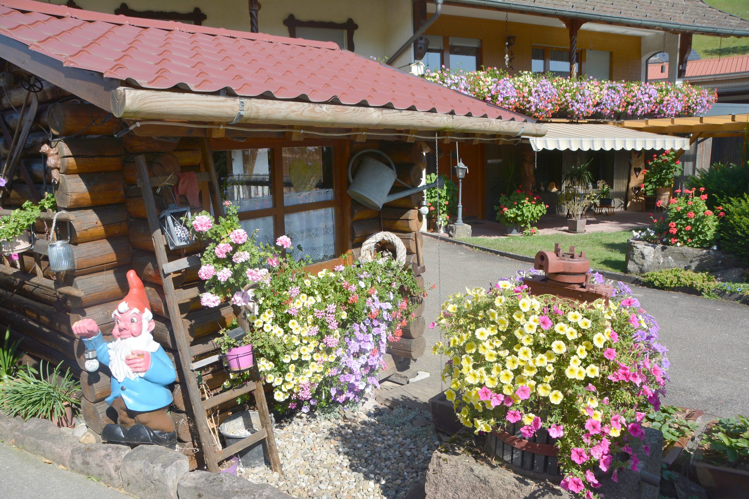 2024-8-28-NO-hps-Blütenpracht Haus Bendler-DSC_5606 2