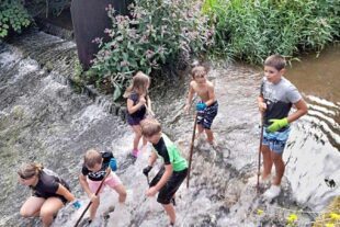 2024-8-7-OH-Förderverein Schwimmbad OH-Kindersommer-Erfreulich wenig Müll im Talbach 2024-2