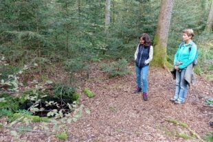 2024-9-18-NO-hv-Histor. Verein- Wanderung Höhenhöfe-1726414262804