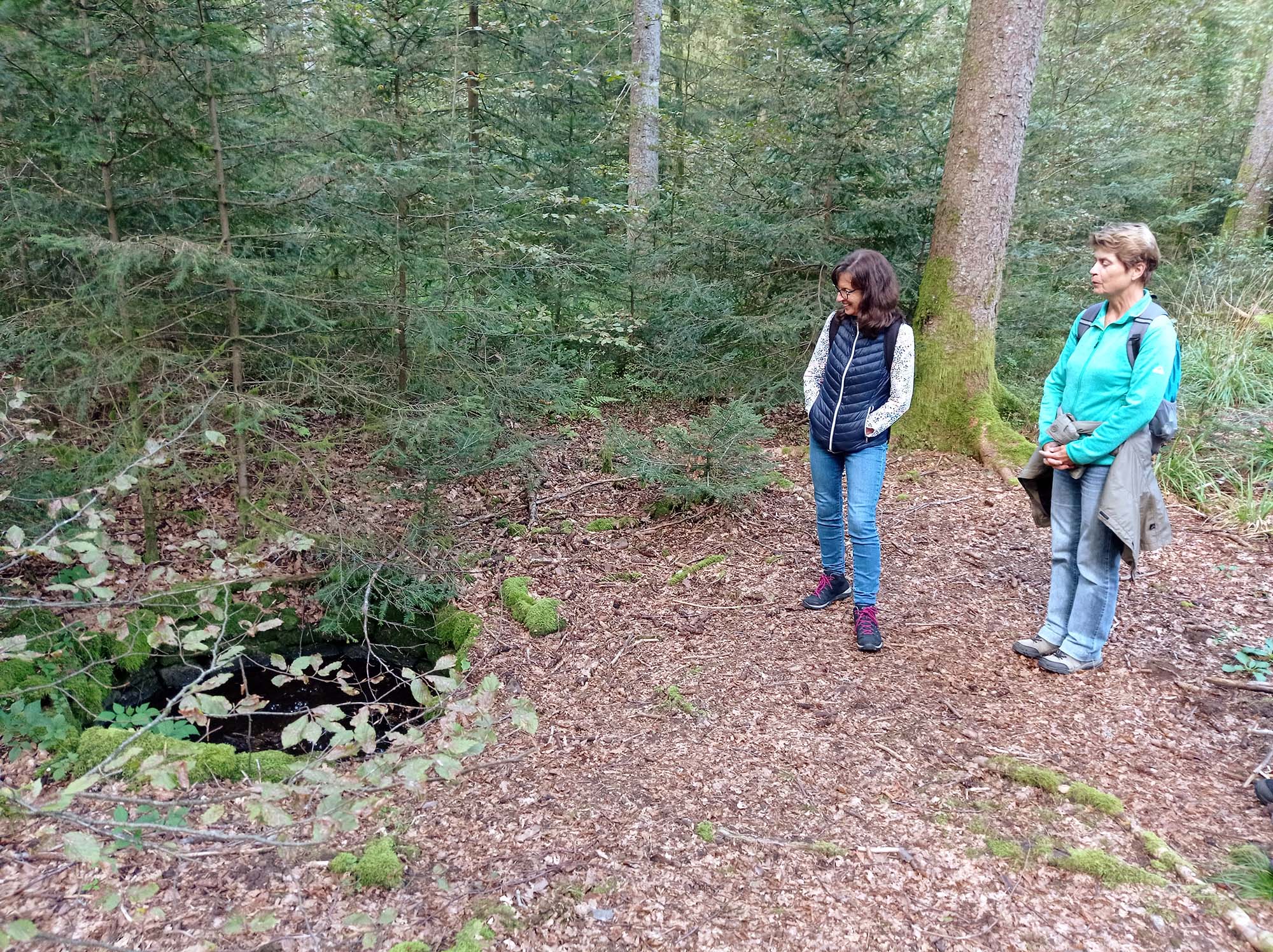 2024-9-18-NO-hv-Histor. Verein- Wanderung Höhenhöfe-1726414262804