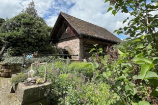 2024-9-20-OH-Tourist-Info-Alte Mühle in Oberharmersbach