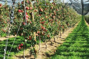 2024-9-23-NO-hv-Altenwerk-IMG_20240918_154113