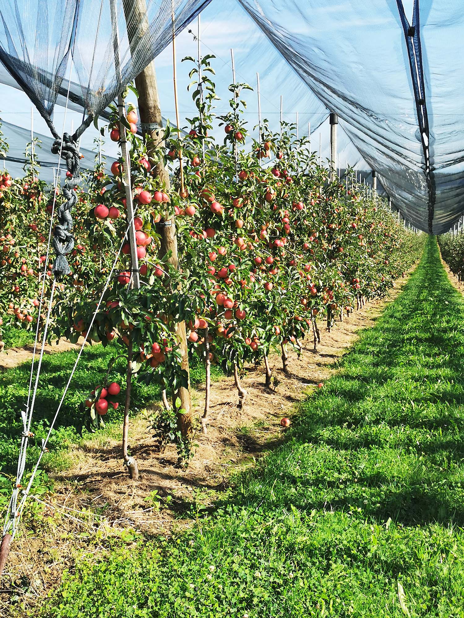 2024-9-23-NO-hv-Altenwerk-IMG_20240918_154113