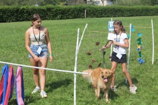 2024-9-4-ZE-BI-Mathias Joseph-Hundesportverein-IMG_3935