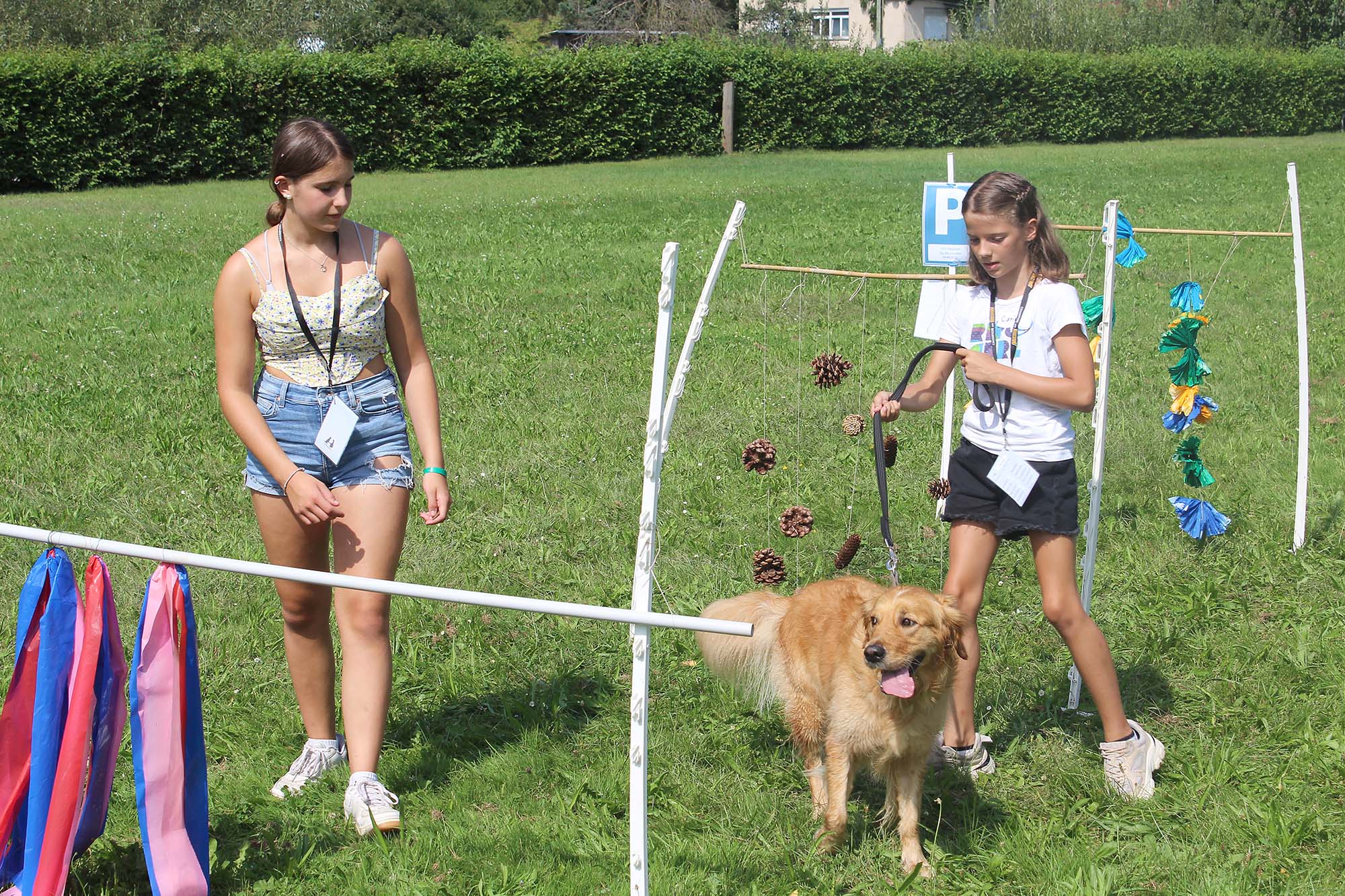 2024-9-4-ZE-BI-Mathias Joseph-Hundesportverein-IMG_3935