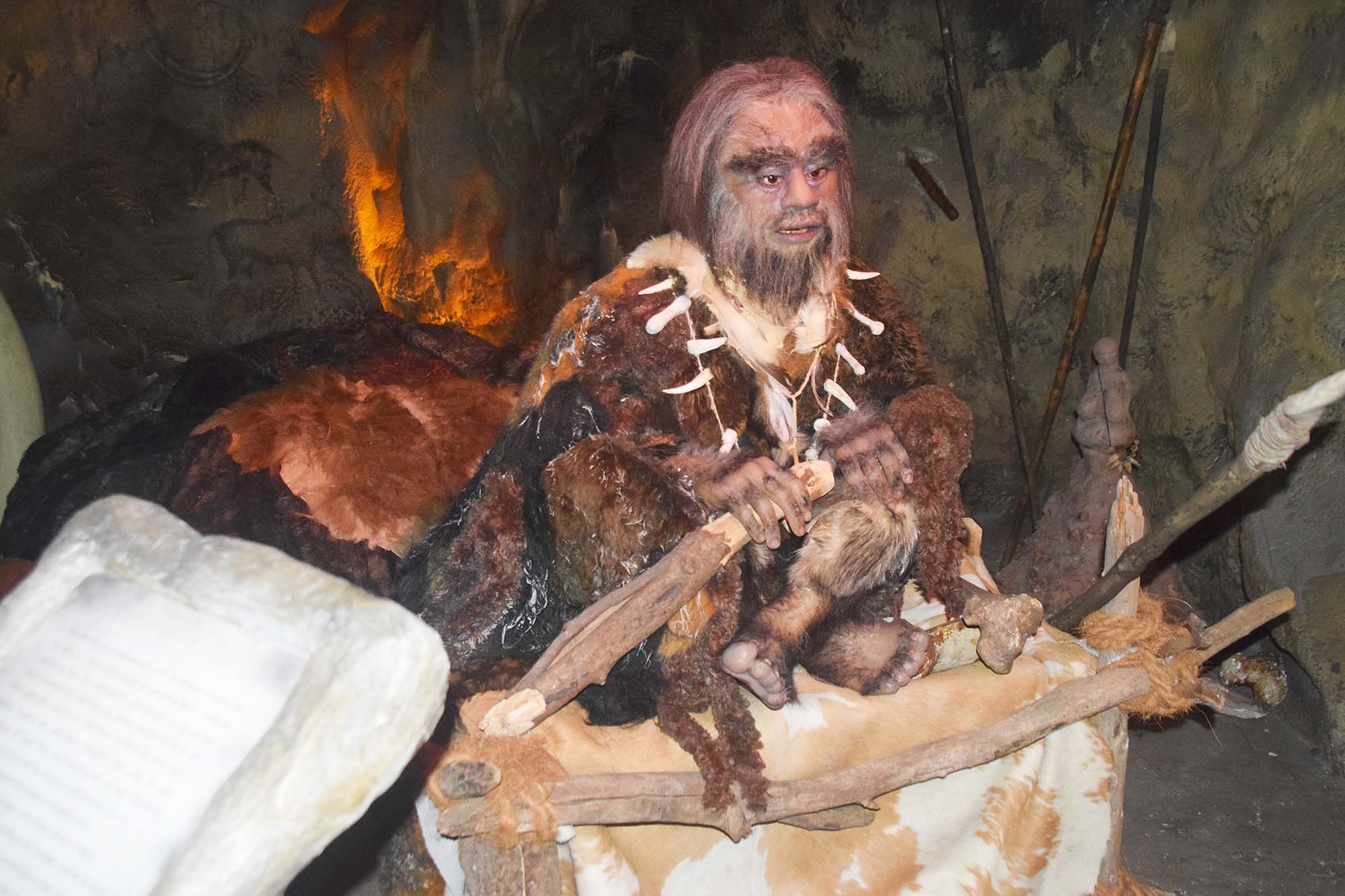 2024-10-11-NO-hv-Altenwerk-DSC_0833