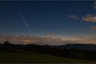 2024-10-16-OH-Robert Schwendemann-Fotos Pilz Komet Pfaffenhütchen226A0154-Bearbeitet