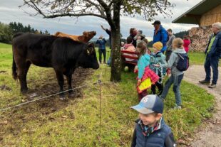 2024-10-18-OH-Carina Mark- Musikerwanderung Musikerwanderung 2024_Bild 2