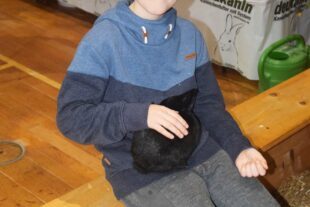 2024-10-21-NO-hv-Lokalschau-DSC_0975