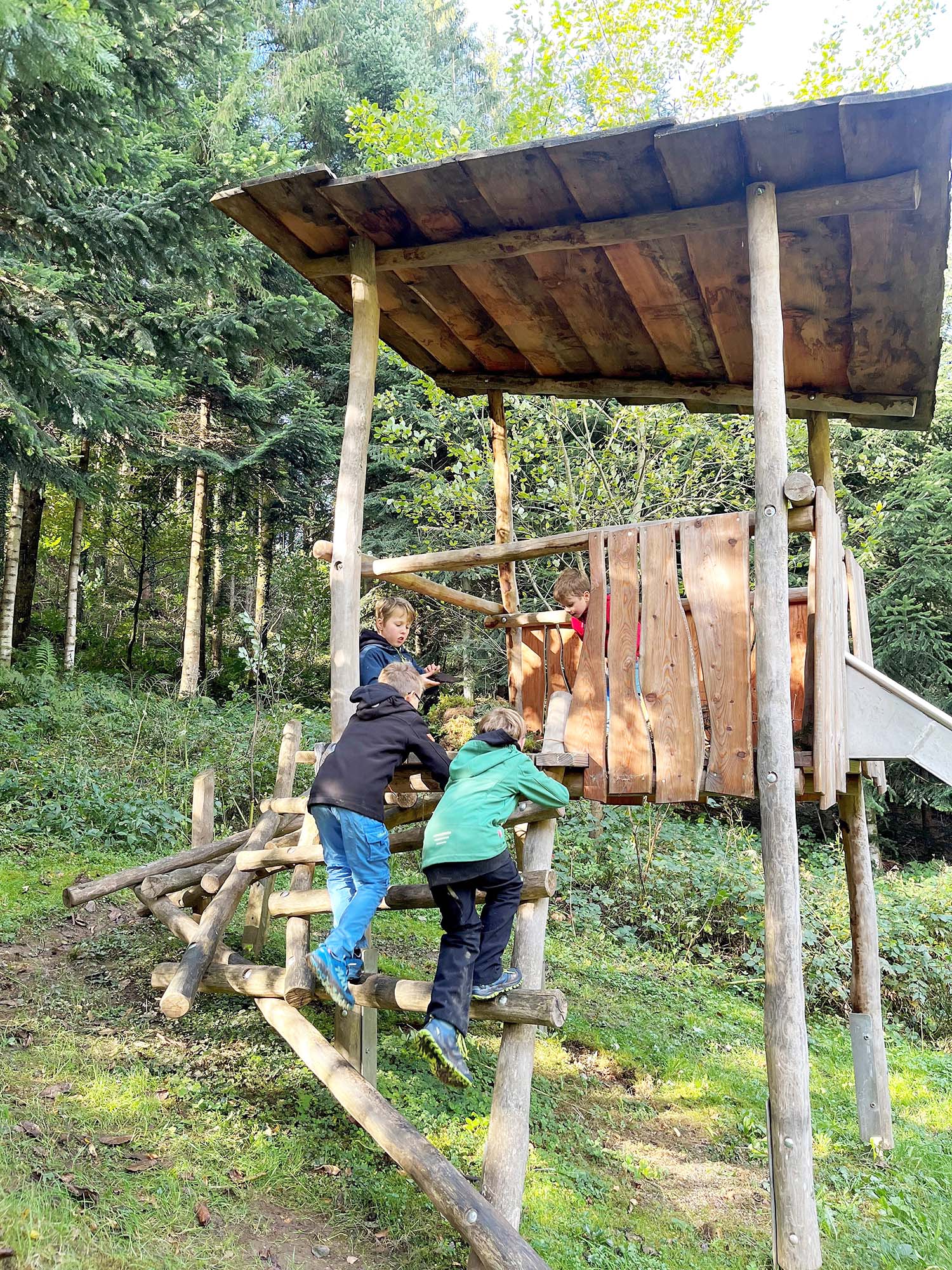 2024-10-21-OH-Tourist-Info-Ei verpacken