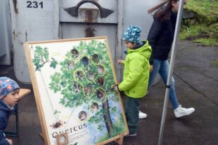 2024-10-7-NO-hv-Echtle-DSC_0796