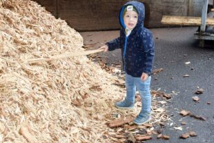 2024-10-7-NO-hv-Echtle-DSC_0803