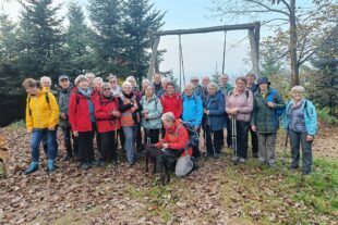 2024-11-11-NO-DAV-Seniorenwanderung Durbachtal-11_2024_Weitblickweg in Durbach_05