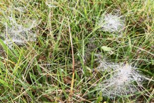 2024-11-13-OH-Franz Huber-SWV-Abschlusswanderung-Bild-2