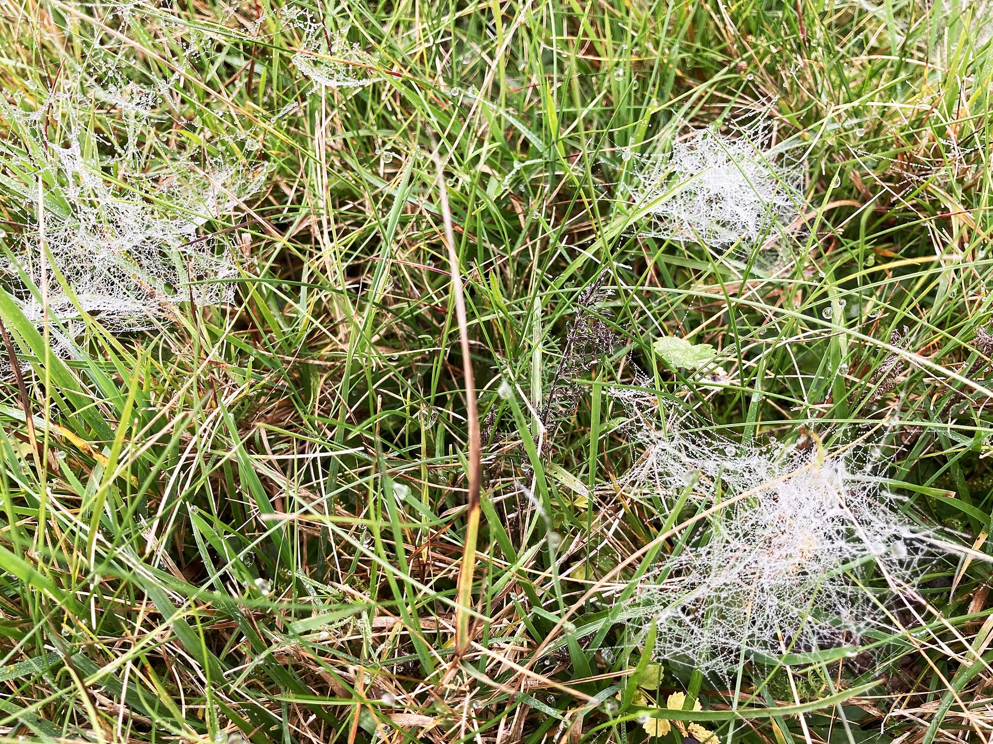 2024-11-13-OH-Franz Huber-SWV-Abschlusswanderung-Bild-2