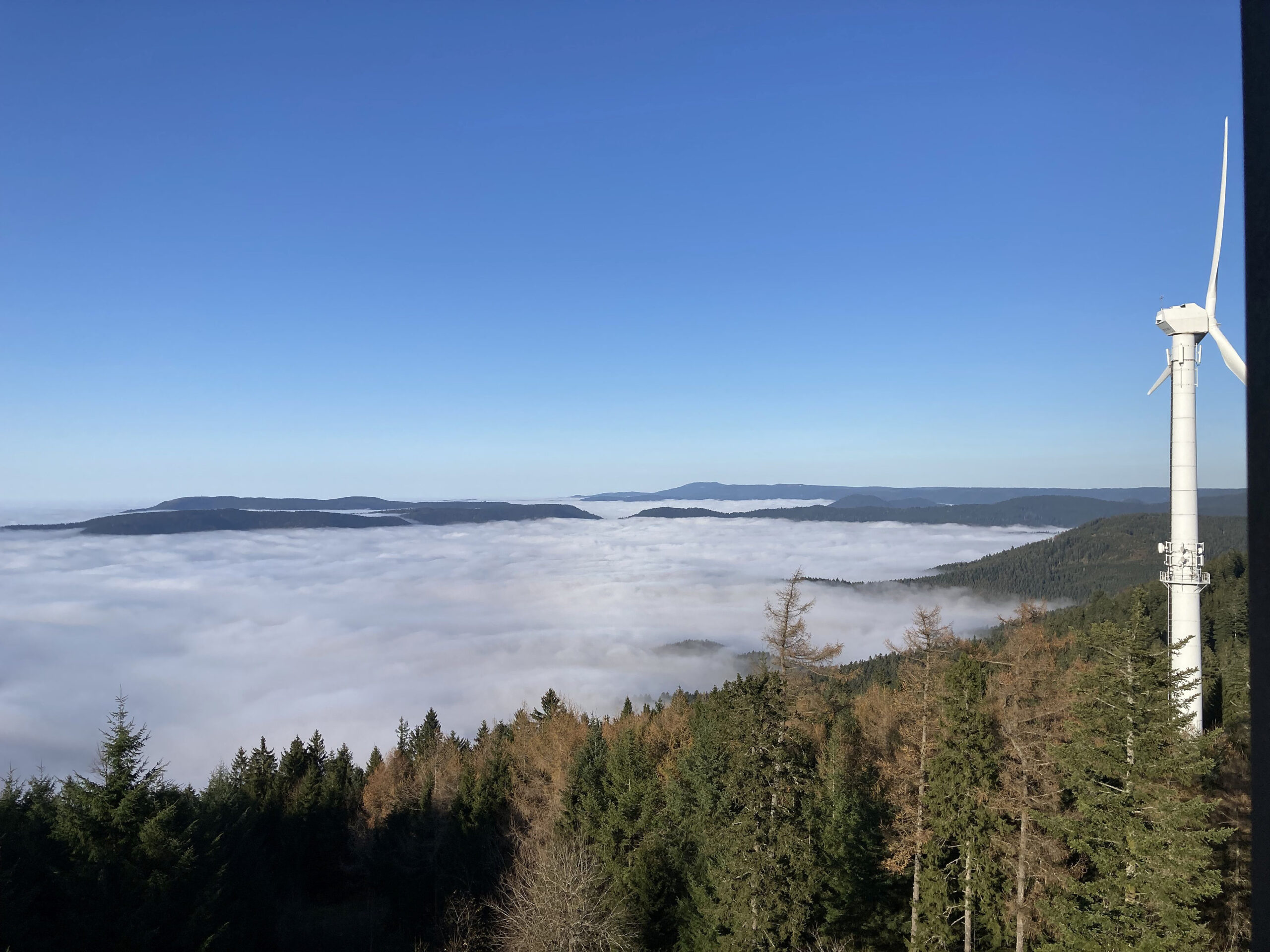 2024-11-13-OH-Franz Huber-SWV-Abschlusswanderung-Bild-4